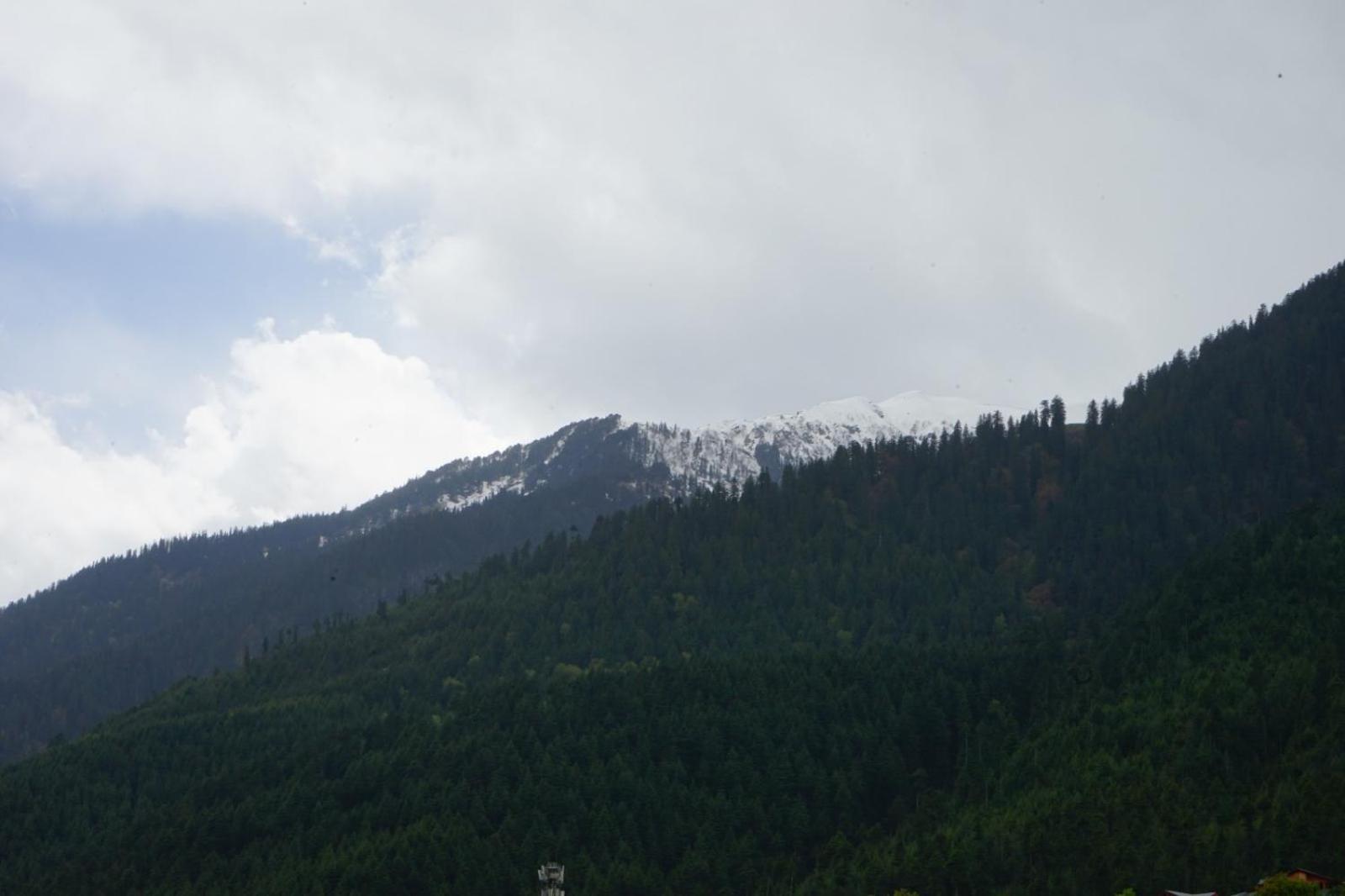 Hotel Magnolia Mallroad Manali ภายนอก รูปภาพ